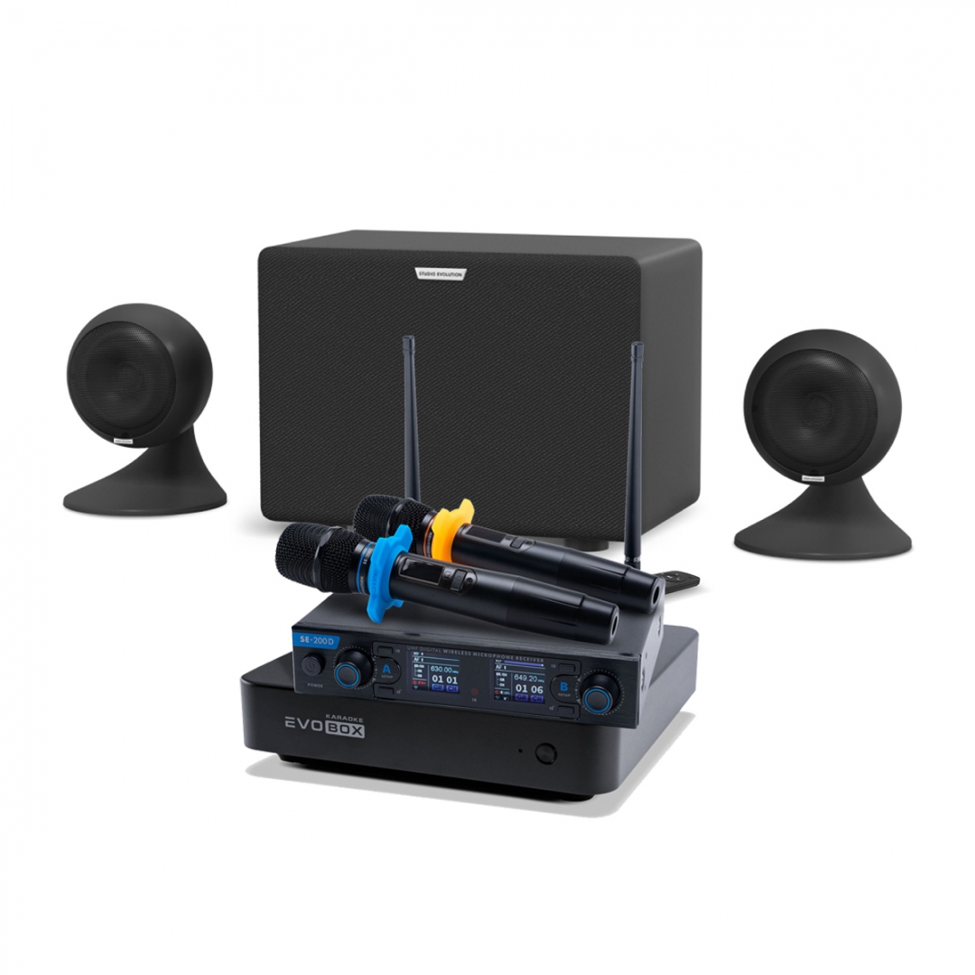 караоке-комплект EVOBOX + EvoSound Sphere 2.1 в Зеленогорске