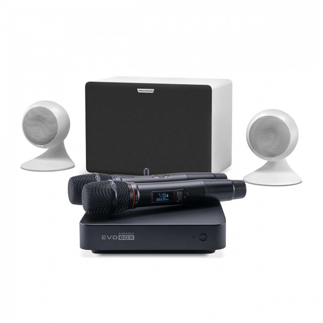караоке-комплект EVOBOX Classic + EvoSound Sphere 2.1 в Зеленогорске
