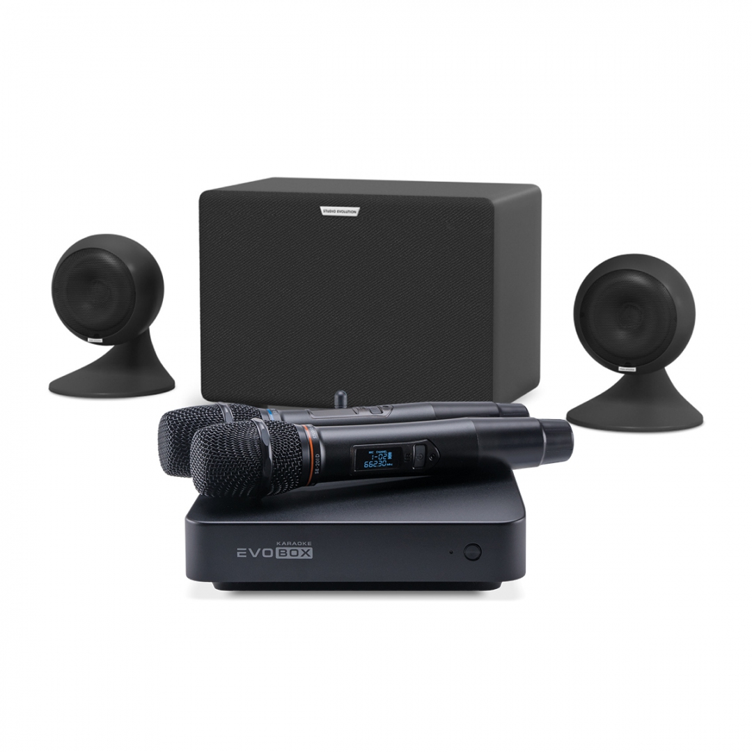 караоке-комплект EVOBOX Plus + EvoSound Sphere 2.1 в Зеленогорске
