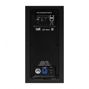 Активная акустическая система AST-310A в Зеленогорске