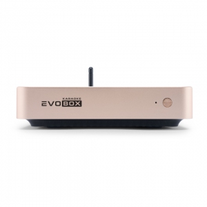 EVOBOX Plus караоке-система для дома в Зеленогорске